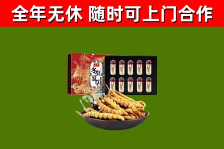 图木舒克市回收冬虫夏草价格