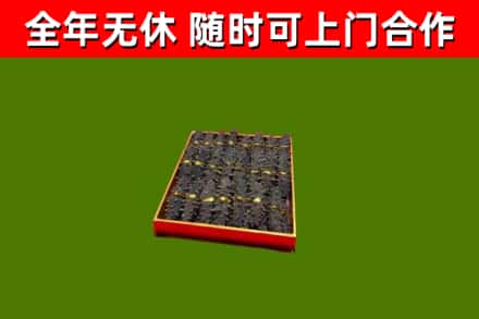 图木舒克市回收海参